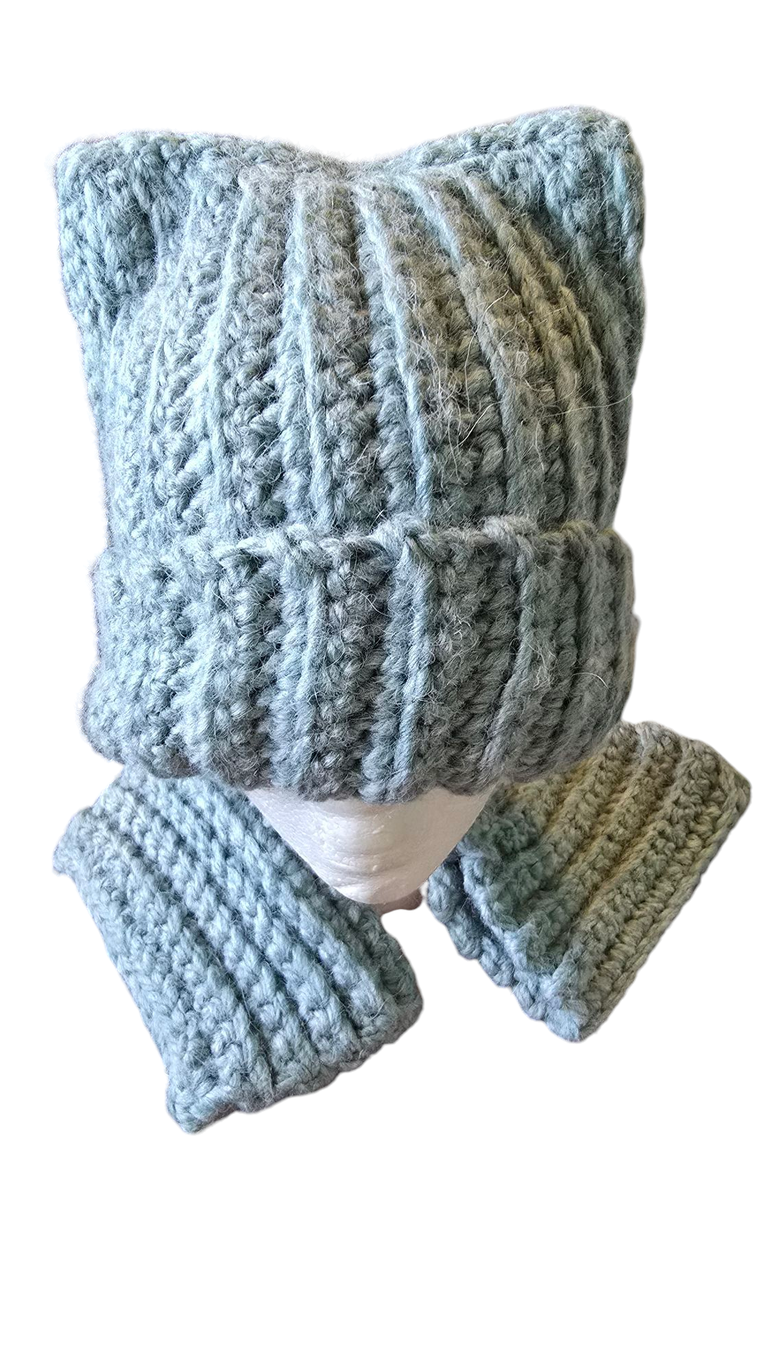 Purffect Cat Ear Hat and fingerless gloves