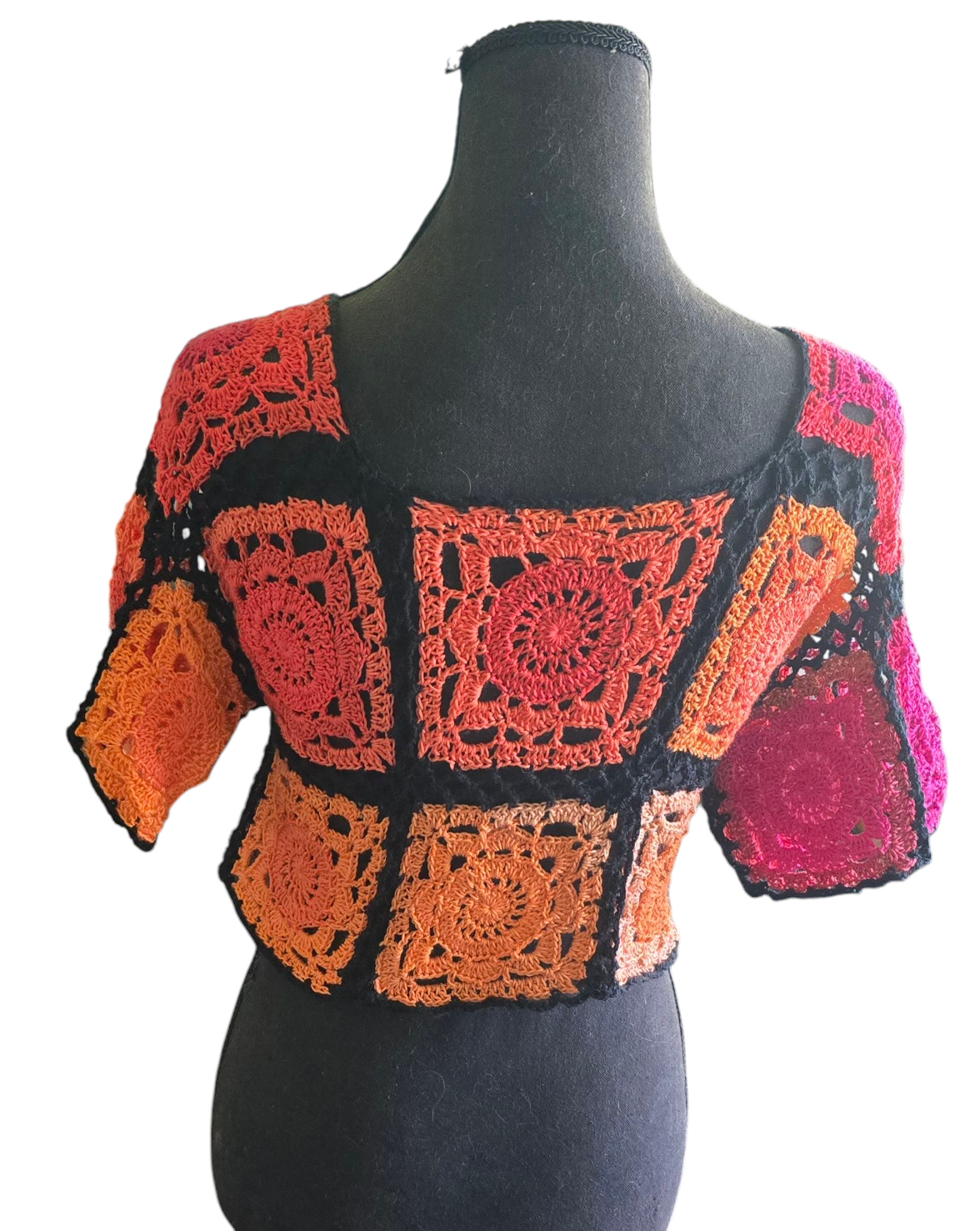 Whispy Crochet Cropped Pull Over